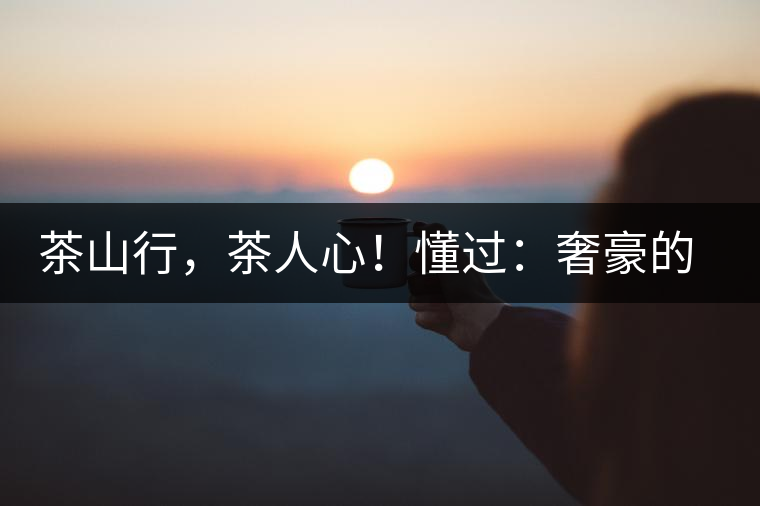 茶山行，茶人心！懂過：奢豪的性價(jià)比之王