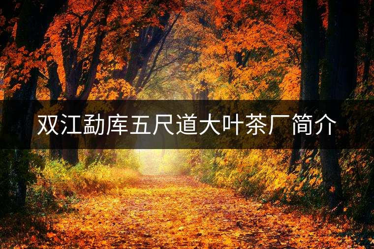 雙江勐庫(kù)五尺道大葉茶廠簡(jiǎn)介