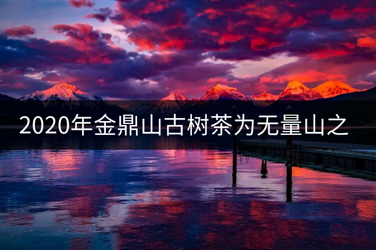 2020年金鼎山古樹(shù)茶為無(wú)量山之魂 -易武中聘號(hào)