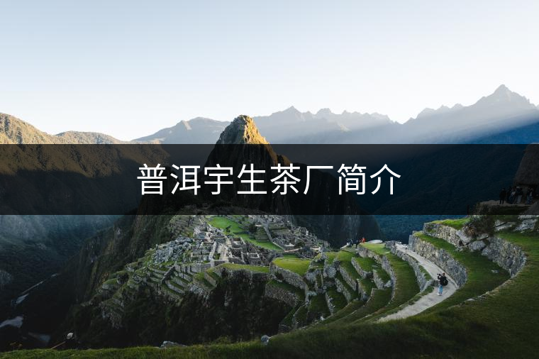 普洱宇生茶廠簡介