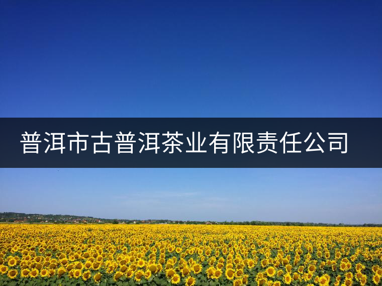 普洱市古普洱茶業(yè)有限責(zé)任公司簡(jiǎn)介 普洱市古普洱茶業(yè)有限責(zé)任公司簡(jiǎn)介