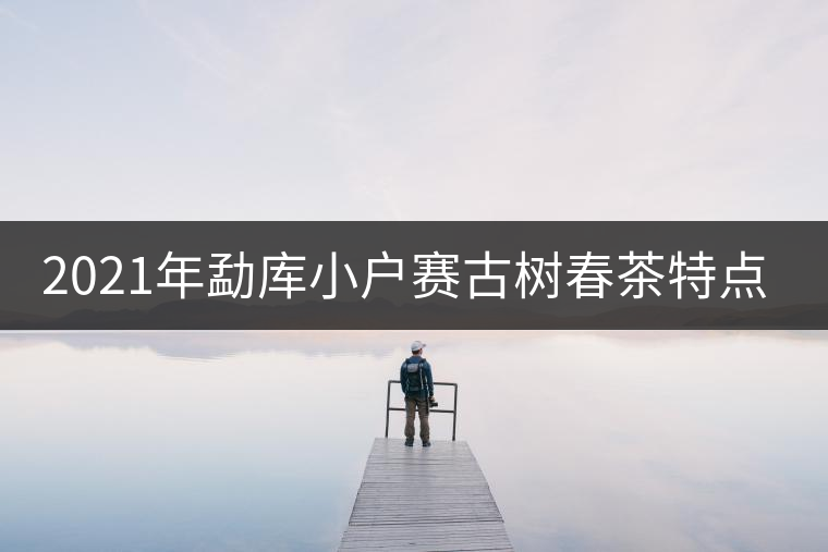 2021年勐庫小戶賽古樹春茶特點？
