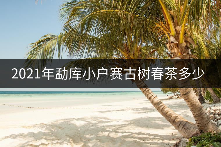 2021年勐庫(kù)小戶(hù)賽古樹(shù)春茶多少錢(qián)一公斤？