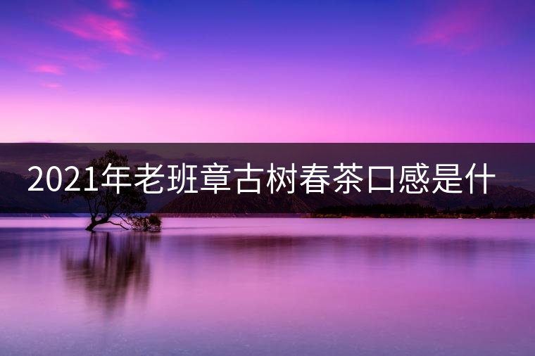 2021年老班章古樹春茶口感是什么？