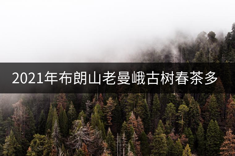 2021年布朗山老曼峨古樹春茶多少錢一公斤？