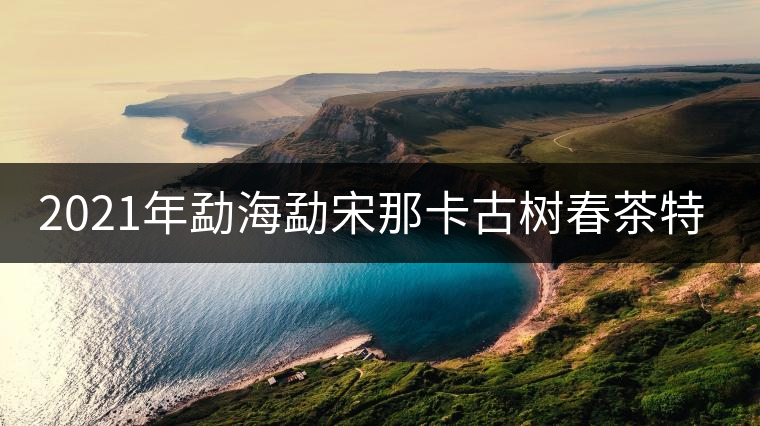2021年勐海勐宋那卡古樹春茶特點？