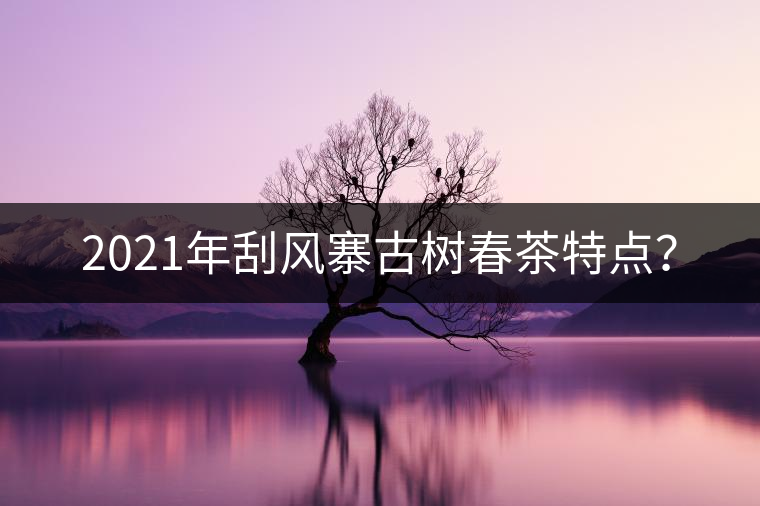 2021年刮風(fēng)寨古樹春茶特點(diǎn)？