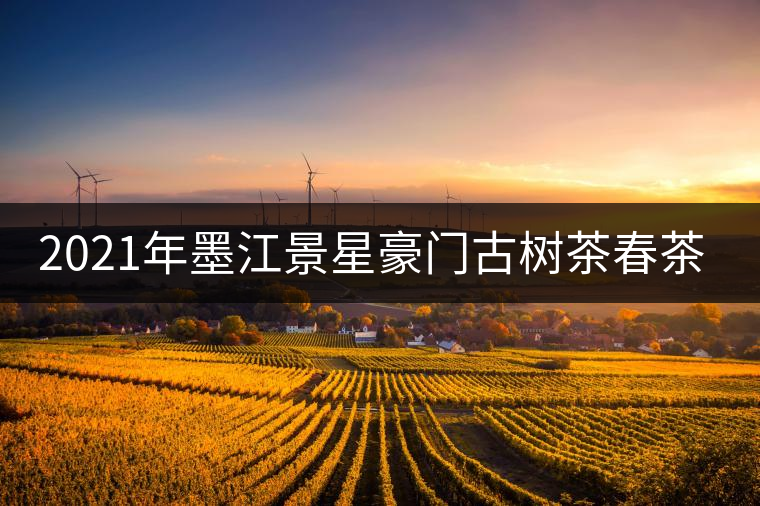 2021年墨江景星豪門古樹茶春茶價格多少錢一斤？