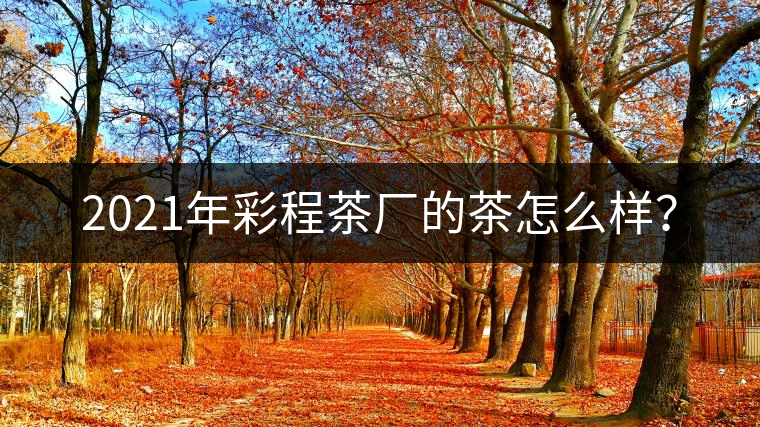2021年彩程茶廠的茶怎么樣？