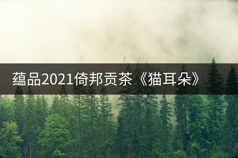 蘊(yùn)品2021倚邦貢茶《貓耳朵》古樹(shù)普洱茶生茶好喝嗎？