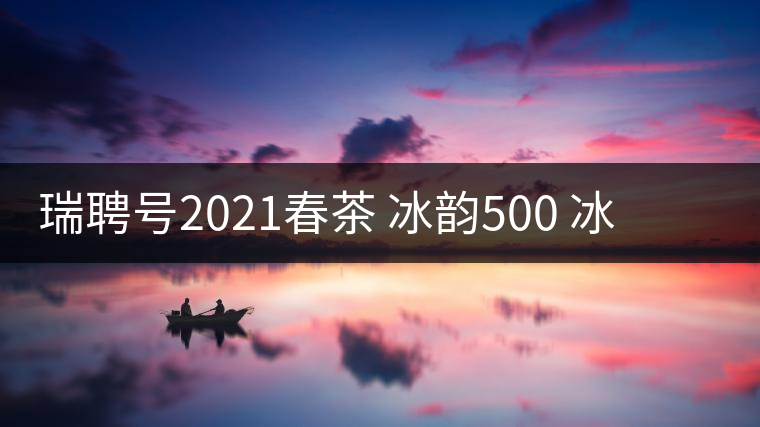 瑞聘號2021春茶 冰韻500 冰島頭春古樹茶口感好不好？