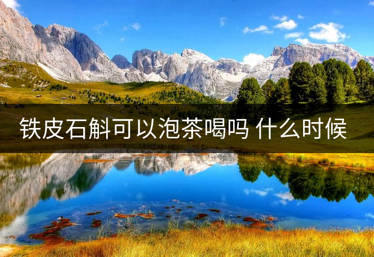 鐵皮石斛可以泡茶喝嗎 什么時(shí)候喝好 鐵皮石斛可以泡茶喝嗎 什么時(shí)候喝好