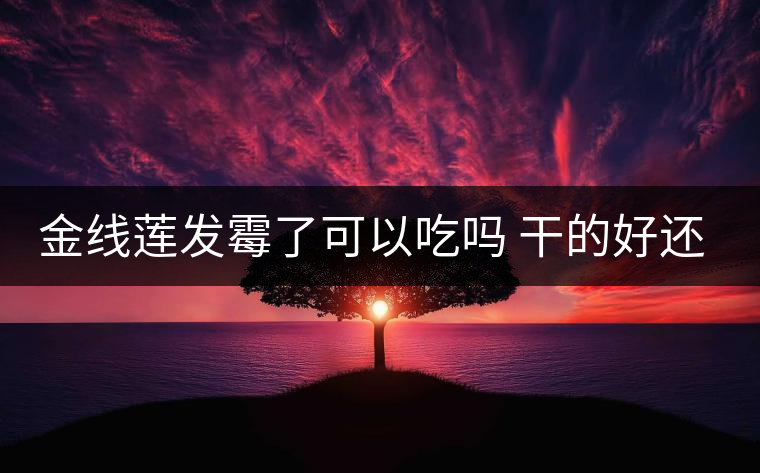 金線(xiàn)蓮發(fā)霉了可以吃嗎 干的好還是濕的好