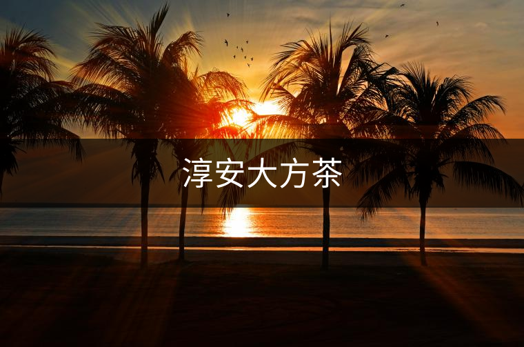 淳安大方茶