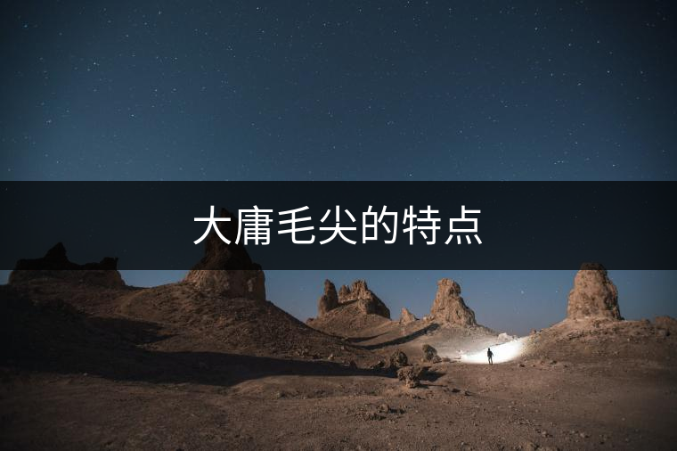 大庸毛尖的特點