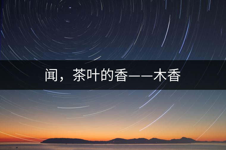 聞，茶葉的香——木香