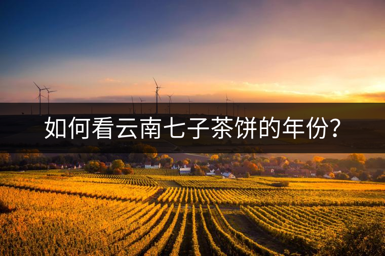 如何看云南七子茶餅的年份？