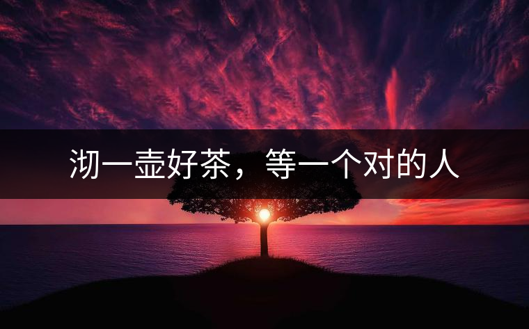 沏一壺好茶，等一個(gè)對(duì)的人