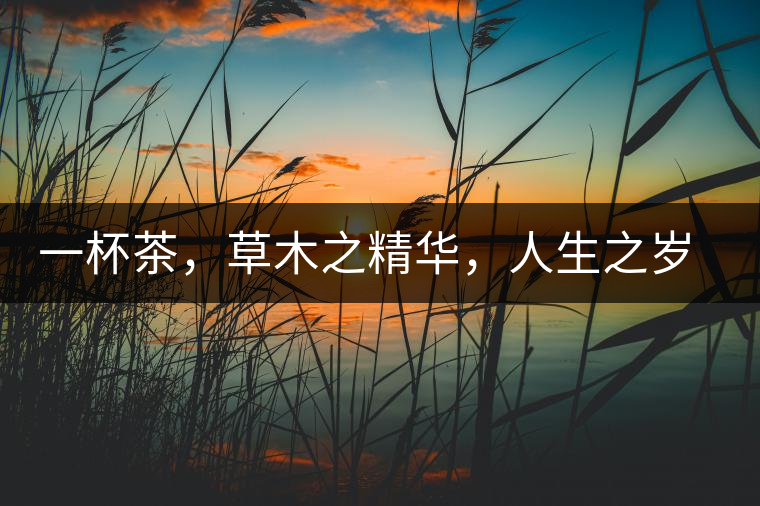 一杯茶，草木之精華，人生之歲月