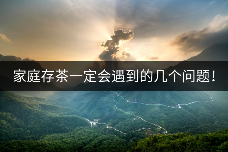 家庭存茶一定會(huì)遇到的幾個(gè)問(wèn)題！