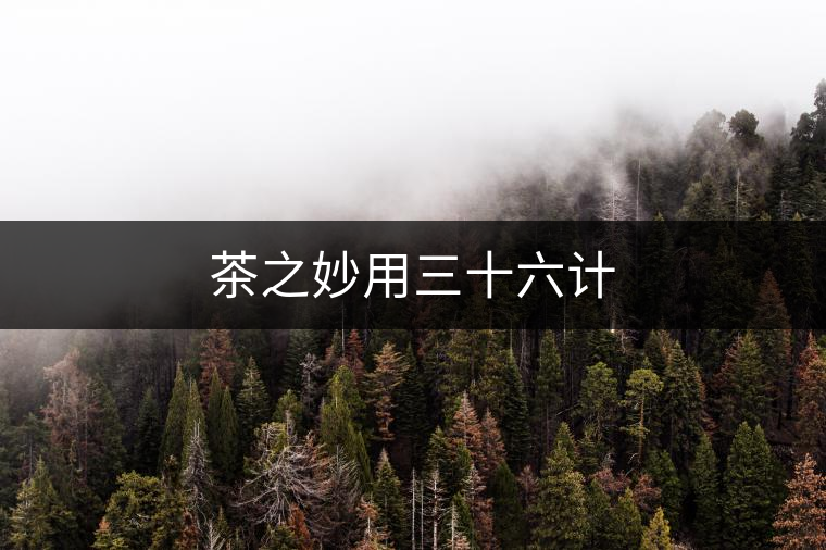 茶之妙用三十六計(jì) 茶之妙用三十六計(jì)