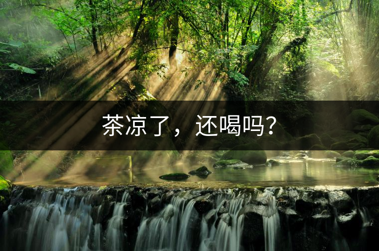 茶涼了，還喝嗎？