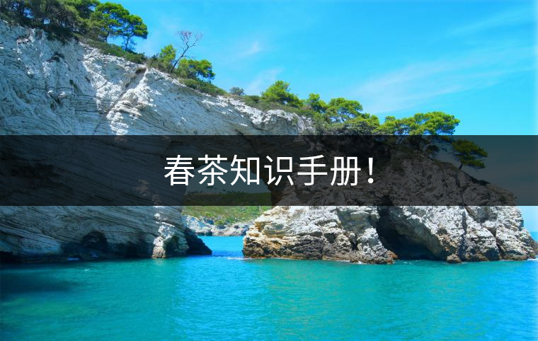 春茶知識手冊！