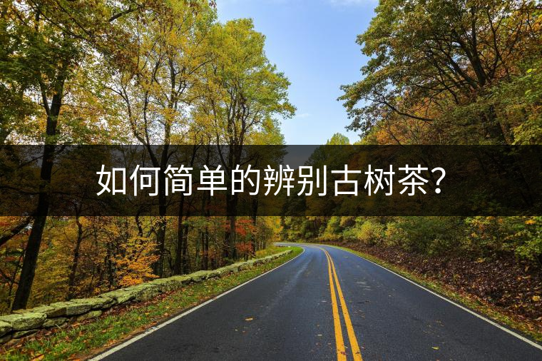 如何簡(jiǎn)單的辨別古樹茶？
