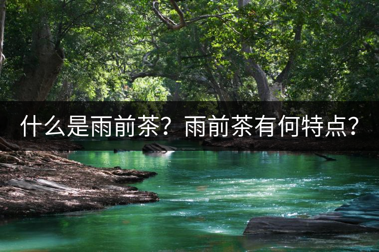 什么是雨前茶？雨前茶有何特點(diǎn)？