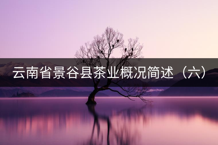 云南省景谷縣茶業(yè)概況簡(jiǎn)述(六) 云南省景谷縣茶業(yè)概況簡(jiǎn)述(六)