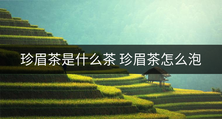 珍眉茶是什么茶 珍眉茶怎么泡 珍眉茶是什么茶 珍眉茶怎么泡