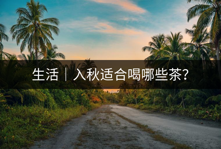 生活｜入秋適合喝哪些茶？