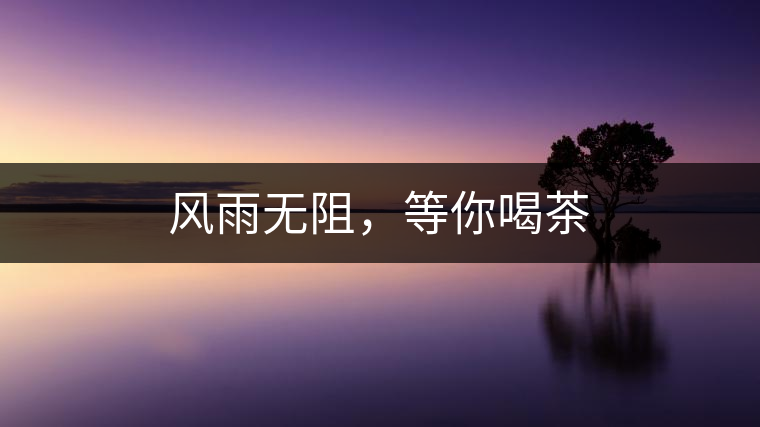 風(fēng)雨無阻，等你喝茶