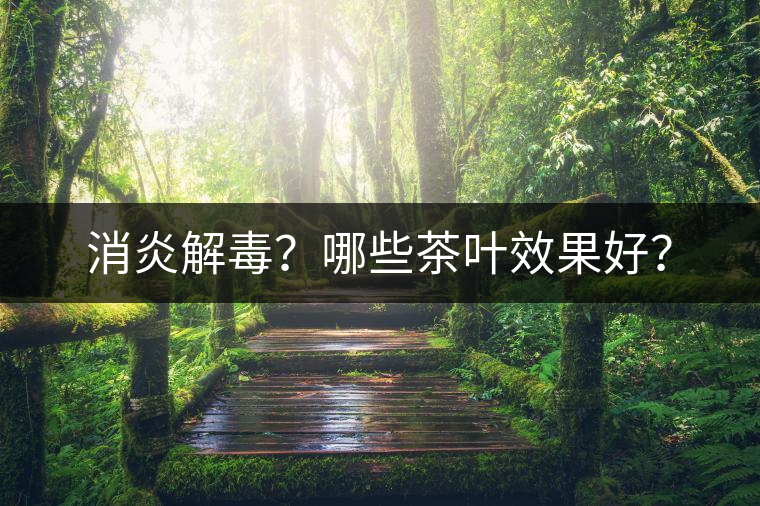 消炎解毒？哪些茶葉效果好？