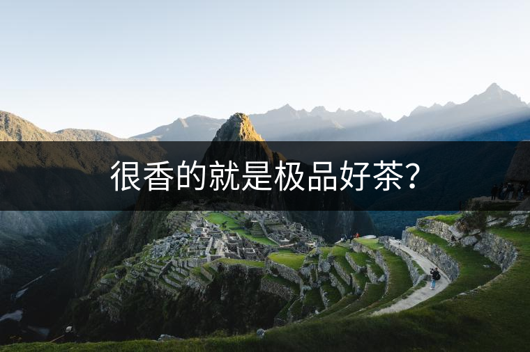 很香的就是極品好茶？