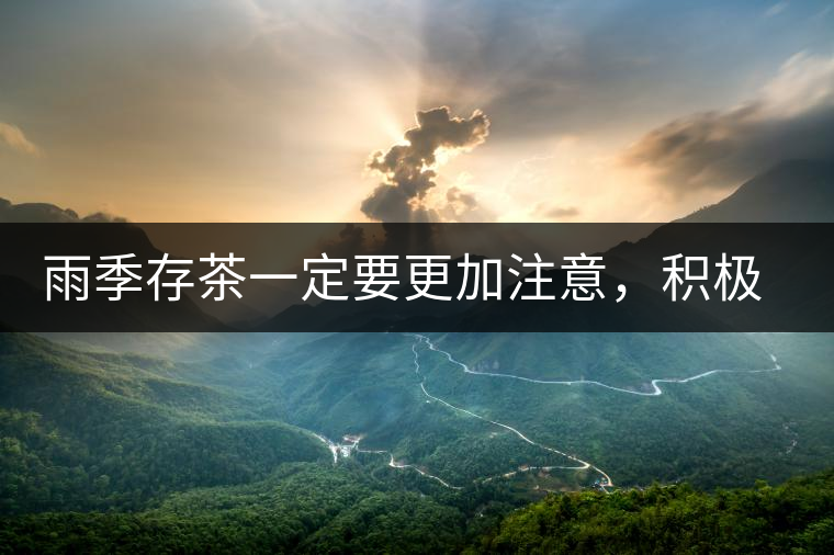 雨季存茶一定要更加注意，積極做好防潮工作