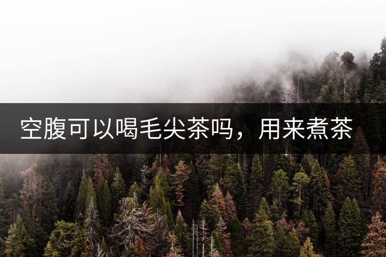 空腹可以喝毛尖茶嗎，用來煮茶葉蛋怎么樣？