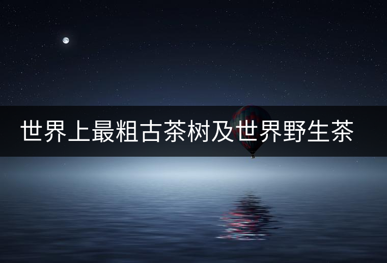 世界上最粗古茶樹(shù)及世界野生茶樹(shù)王介紹