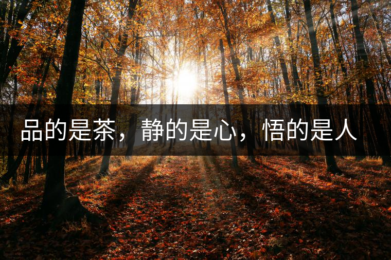 品的是茶，靜的是心，悟的是人生，滌的是靈魂