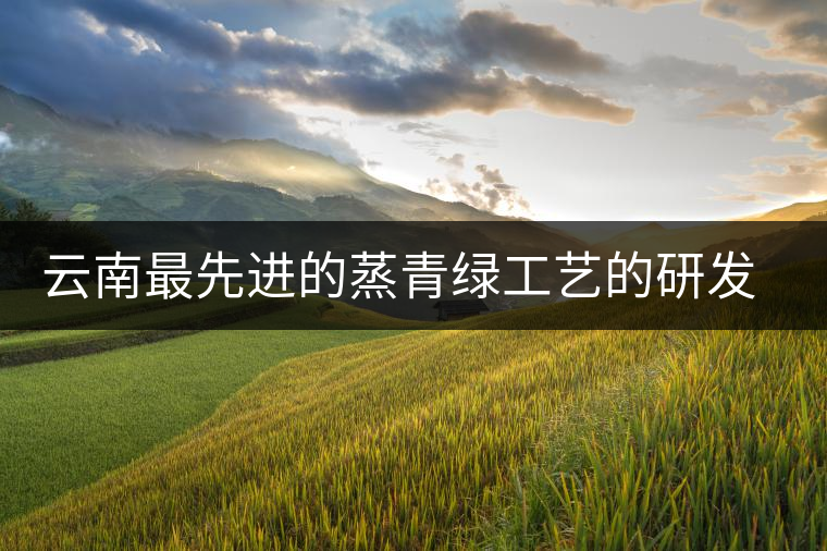 云南最先進(jìn)的蒸青綠工藝的研發(fā)者是誰？