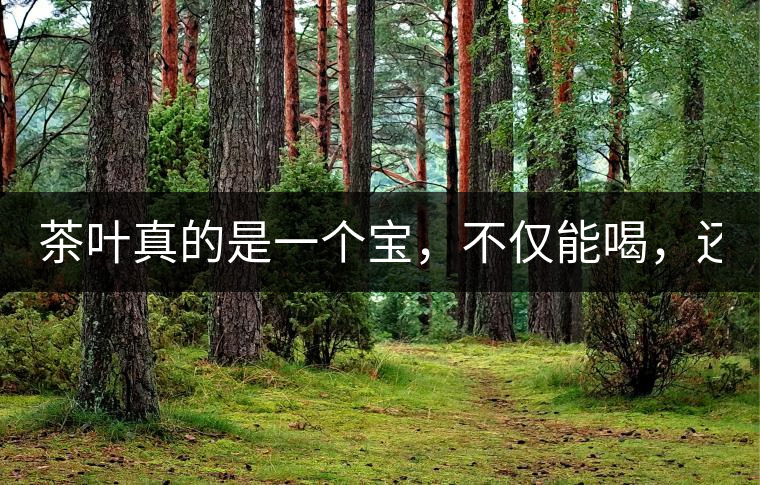 茶葉真的是一個(gè)寶，不僅能喝，還能用！