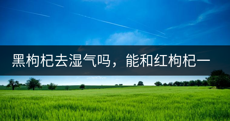 黑枸杞去濕氣嗎，能和紅枸杞一起泡嗎？