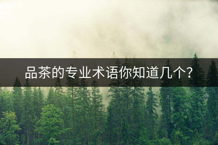 品茶的專業(yè)術(shù)語(yǔ)你知道幾個(gè)？