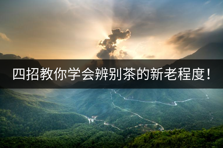 四招教你學(xué)會(huì)辨別茶的新老程度！