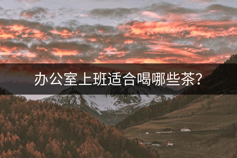 辦公室上班適合喝哪些茶？