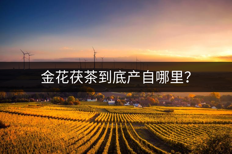 金花茯茶到底產(chǎn)自哪里？