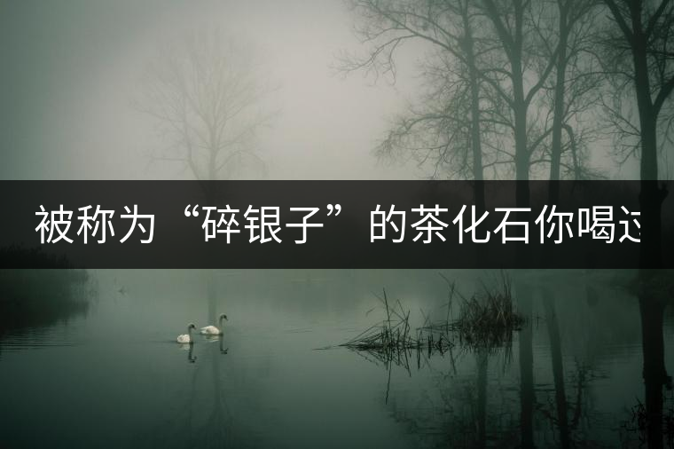 被稱為“碎銀子”的茶化石你喝過嗎？