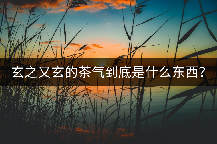 玄之又玄的茶氣到底是什么東西？