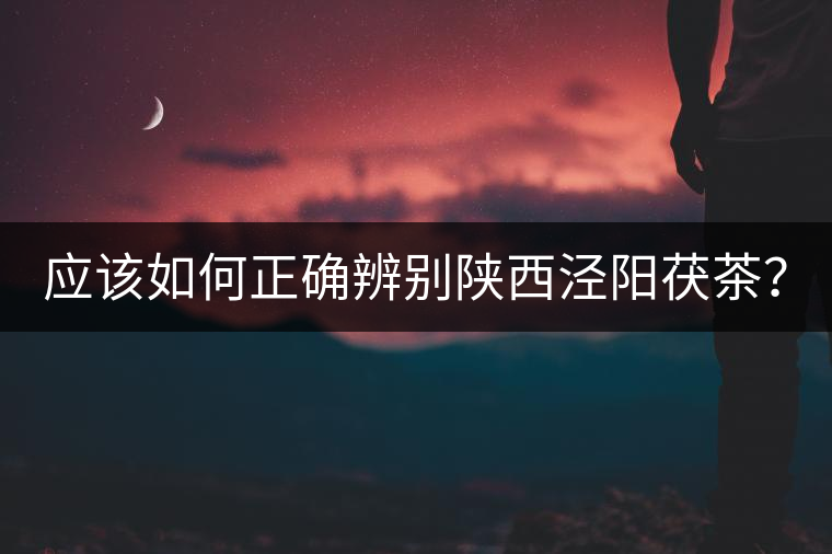 應(yīng)該如何正確辨別陜西涇陽茯茶？