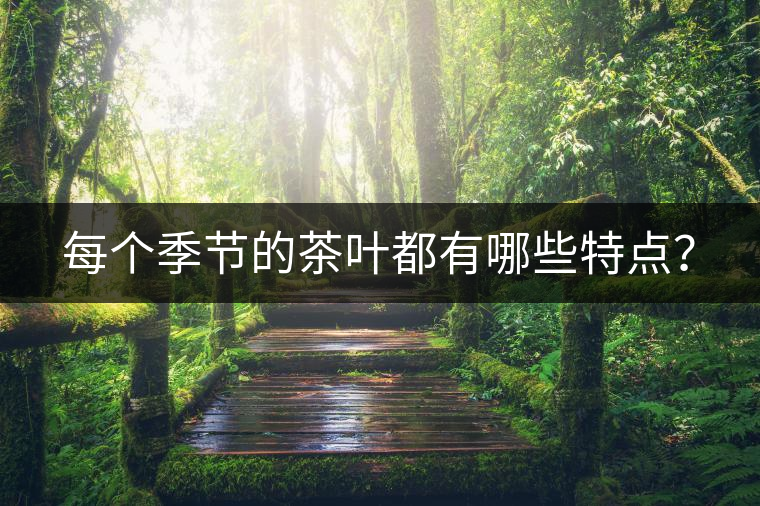 每個季節(jié)的茶葉都有哪些特點？